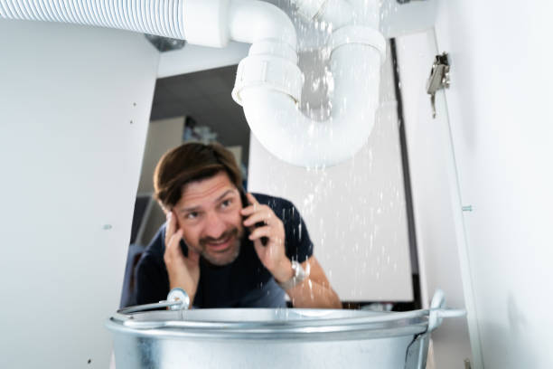 Best Clogged Drain Plumber  in Carmi, IL